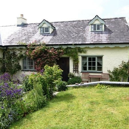 Parc Y Brenin Villa Dryslwyn ภายนอก รูปภาพ