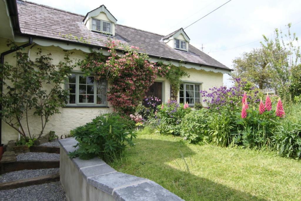 Parc Y Brenin Villa Dryslwyn ภายนอก รูปภาพ