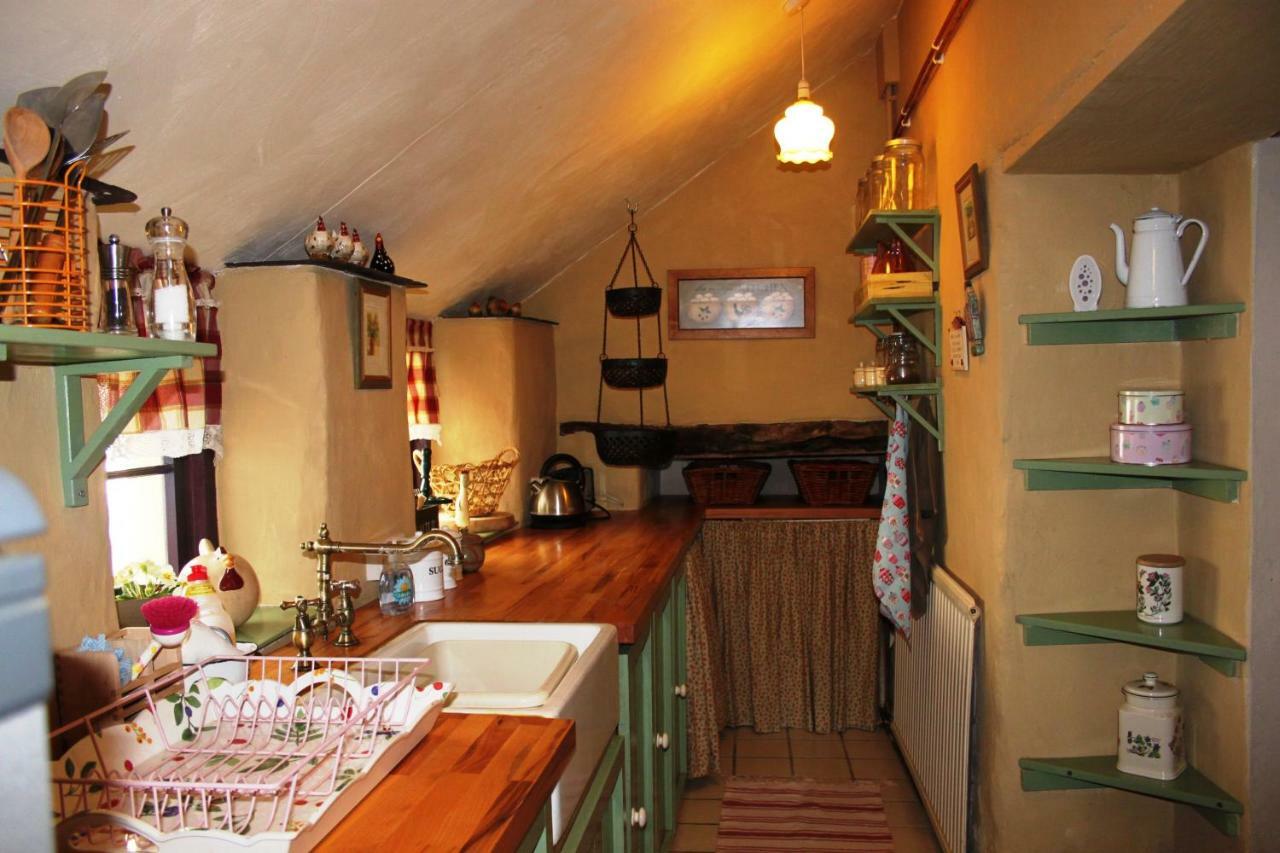 Parc Y Brenin Villa Dryslwyn ภายนอก รูปภาพ